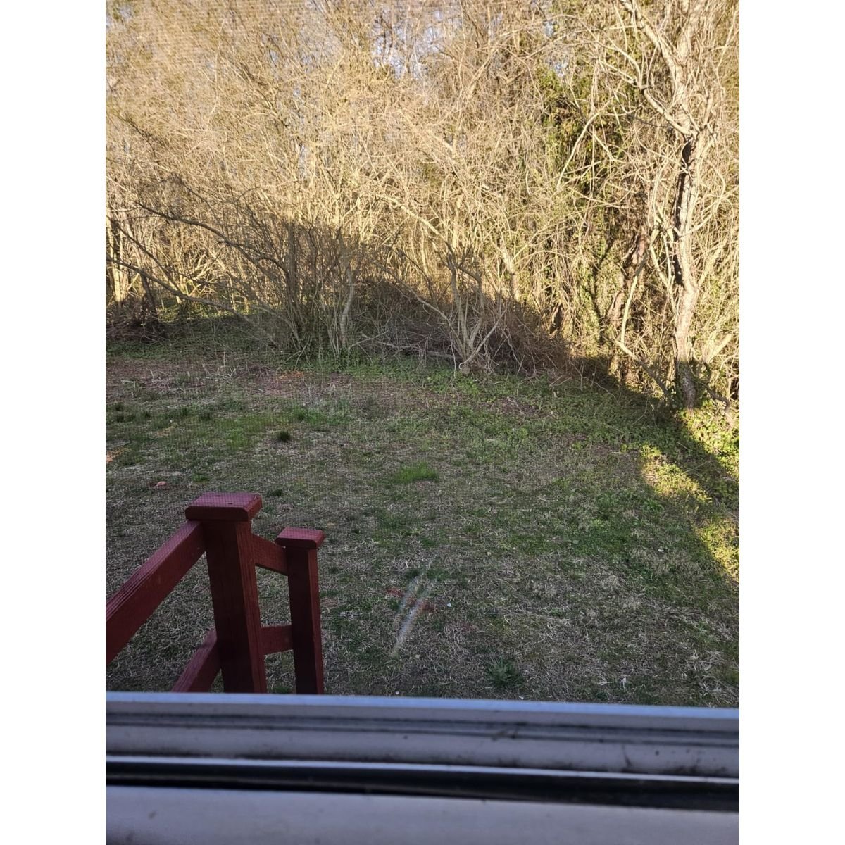 Cutting thick shrubs with manganese blade