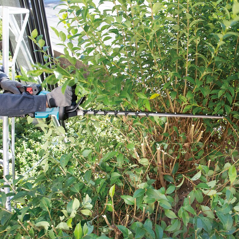 Trimmer Cutting Grass