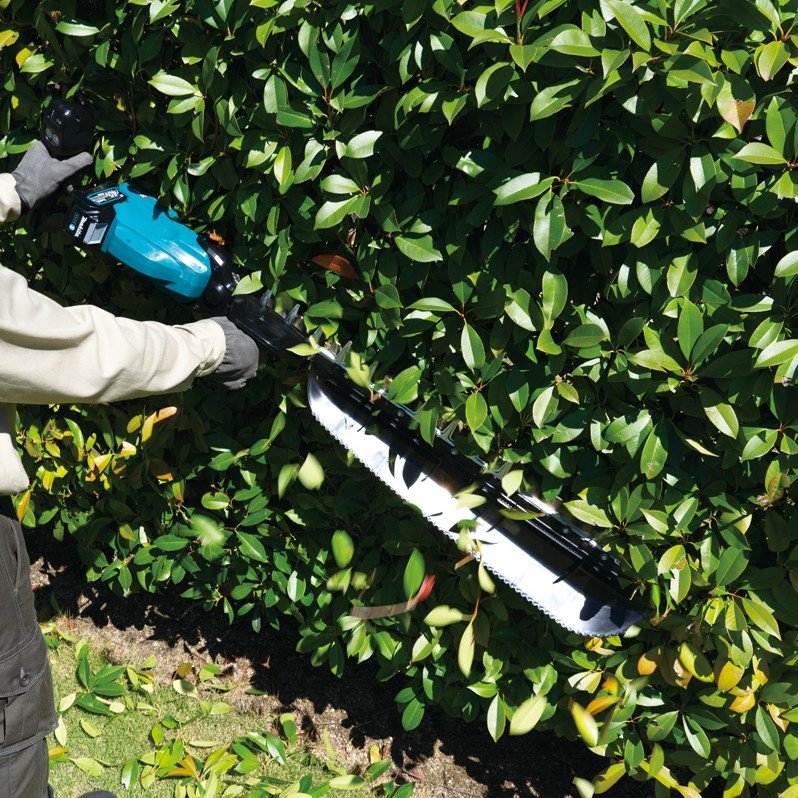 Chainsaw Pruner Cutting Branches